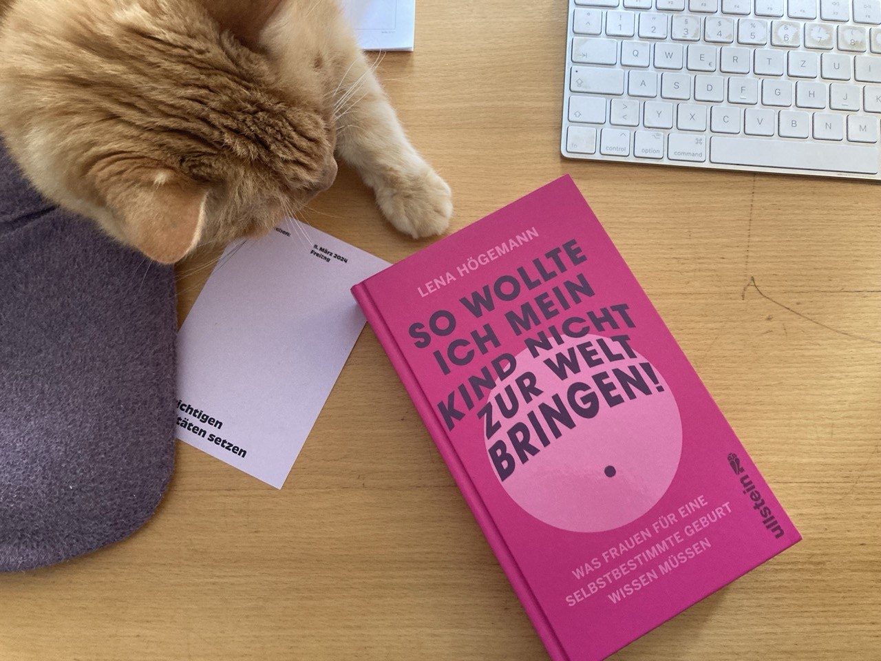 So wollte ich mein Kind nicht zur Welt bringen